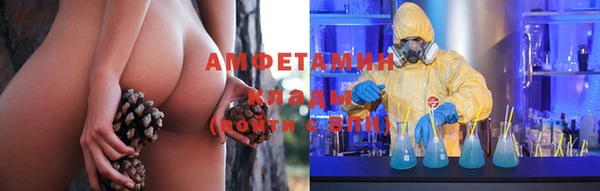 молекула духа Алексин