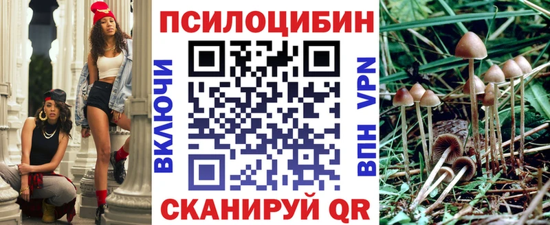 нарко площадка формула  Куровское  Галлюциногенные грибы мицелий 